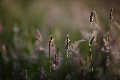 备受期待RTS《风暴之门》众筹超过200万美元